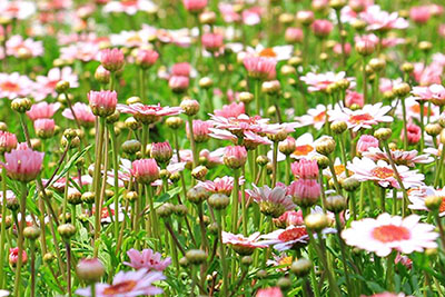 Außenansicht Kita Zwergenland